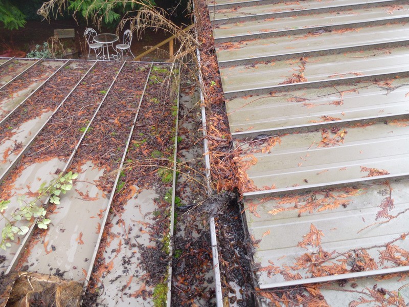 Cleaning-Gutters-Bothell-WA