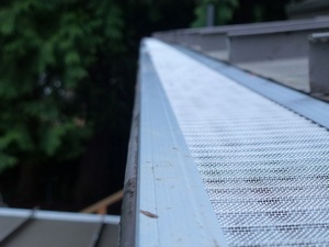 Best Des Moines cleaning gutters in WA near 98198