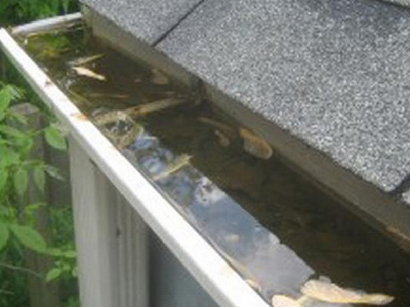 Expert Burien gutter cleaner in WA near 98146