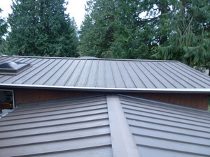 Local Des Moines gutter cleaner in WA near 98198