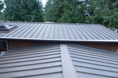 Expert Factoria gutter cleaner in WA near 98006