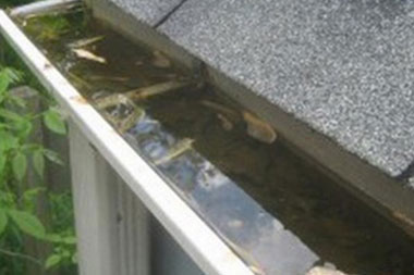 Reliable Federal Way gutter cleaner in WA near 98003