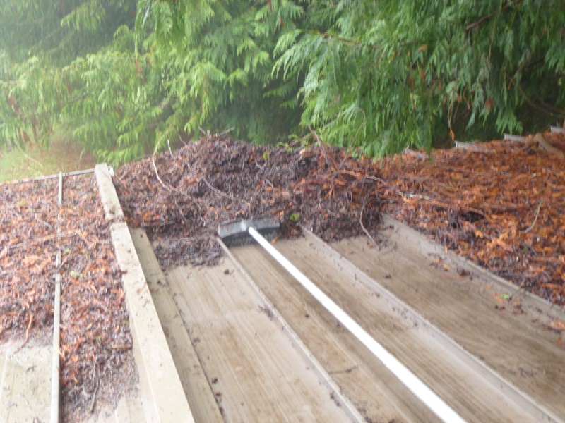 Professional Clyde Hill gutter cleaners in WA near 98004