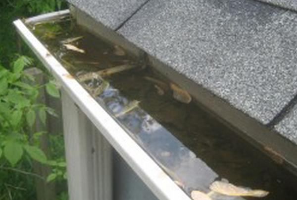 Rain-Gutter-Cleaning-Seattle-WA